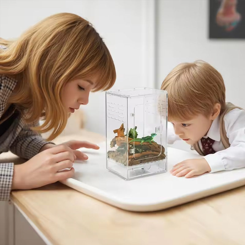 Terrarium d'alimentation en acrylique pour reptiles - Lézard/Araignée/Insecte