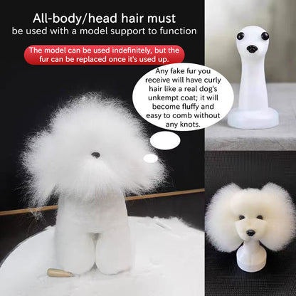 Tête d'entraînement professionnelle pour le toilettage canin | Modèle de pratique pour le coiffage et la fourrure des animaux débutants