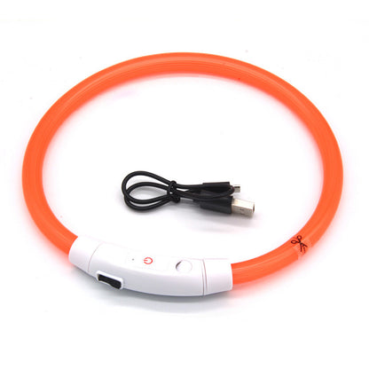 Collier pour chien LED en fibre optique – PVC multicolore, rechargeable par USB, sécurité nocturne (tailles S/M/L)