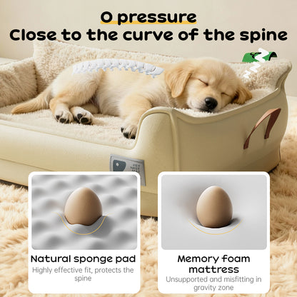 Heavy-Duty All-Weather Dog House: Chew-Resistant, Portable & Washable for Medium/Large Dogs