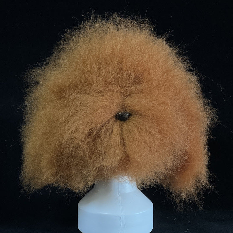 Tête d'entraînement professionnelle pour le toilettage canin | Modèle de pratique pour le coiffage et la fourrure des animaux débutants