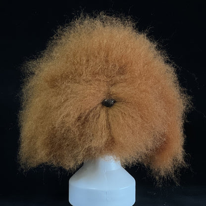 Tête d'entraînement professionnelle pour le toilettage canin | Modèle de pratique pour le coiffage et la fourrure des animaux débutants