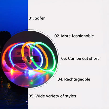Collier pour chien LED en fibre optique – PVC multicolore, rechargeable par USB, sécurité nocturne (tailles S/M/L)