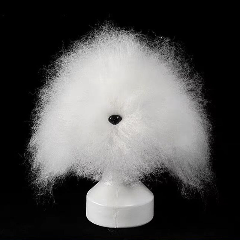 Tête d'entraînement professionnelle pour le toilettage canin | Modèle de pratique pour le coiffage et la fourrure des animaux débutants