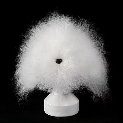 Tête d'entraînement professionnelle pour le toilettage canin | Modèle de pratique pour le coiffage et la fourrure des animaux débutants